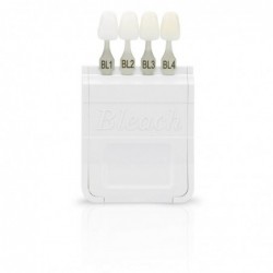 A-D Shade Guide, Ivoclar...