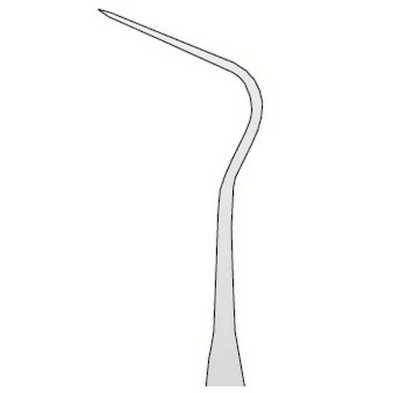 Explorer Anatomic N.12