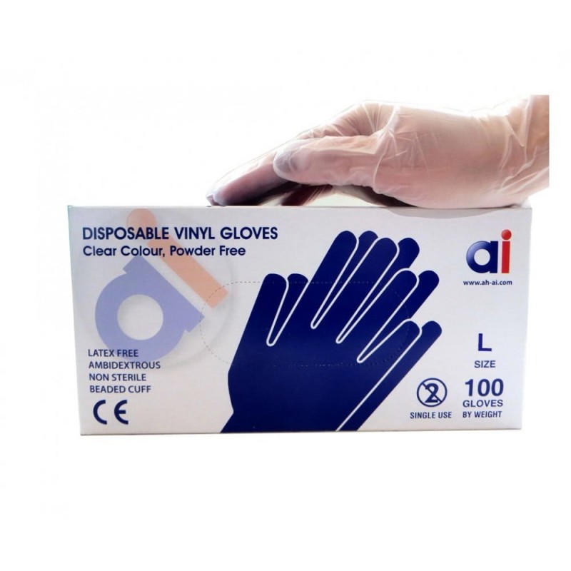 Vinyl Examination Gloves, Large, BX/100