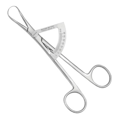 Caliper Bone, 15.5 cm