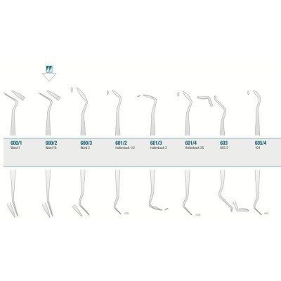 Amalgam/Composite Carver...